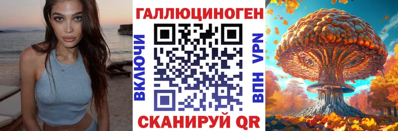 как найти закладки  Порхов  Галлюциногенные грибы Cubensis 